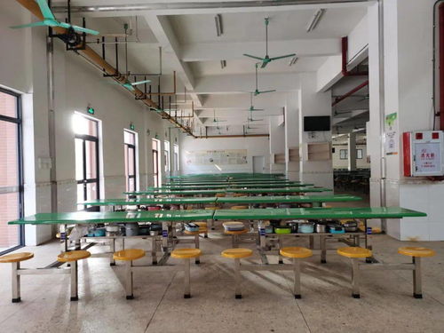 學校食堂 互聯(lián)網(wǎng) 明廚亮灶 建設工作,完成率100