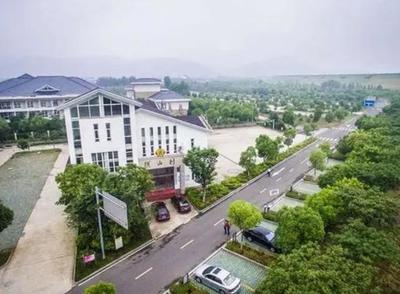 宜興西渚鎮(zhèn)網(wǎng)站建設(shè)揭秘與高塍鎮(zhèn)官網(wǎng)展望（2025年01月焦點）