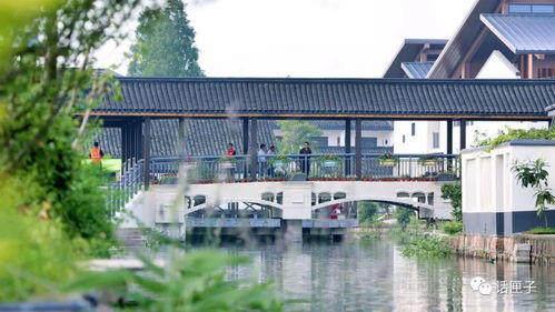 住在風景里，何必還要去找風景——宜興網站建設讓美麗鄉村觸手可及