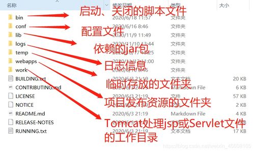 Web服務(wù)器技術(shù) 通信信號(hào)技術(shù)推廣服務(wù)的核心引擎