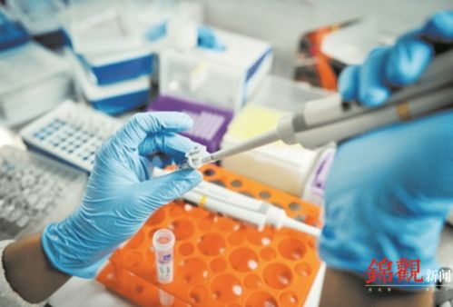 睿樂達再次吸睛 從機器人到原研藥，看成都566.8億元高新技術產品背后的創新韌性