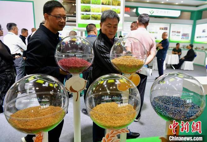 聚焦種業創新，共謀產業未來——第十六屆中國國際種業博覽會技術咨詢側記